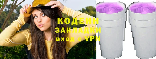 хмурый Алзамай